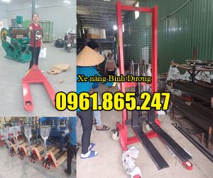 Xe nâng tay tại Bình Dương