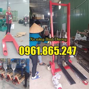 Xe nâng tay tại Bình Dương